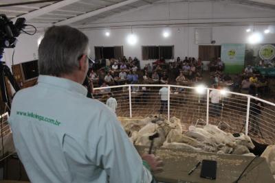 LeilÃ£o de Gado em Laranjeiras do Sul Reflete Qualidade e ConfianÃ§a na PecuÃ¡ria